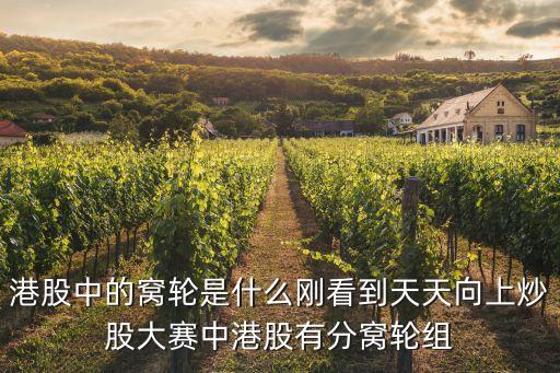 港股中的窩輪是什么剛看到天天向上炒股大賽中港股有分窩輪組