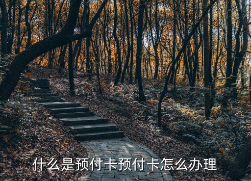 什么是預(yù)付卡預(yù)付卡怎么辦理