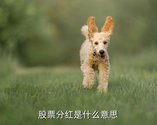 股票分紅是什么意思，中國股市的分紅到底是什么意思