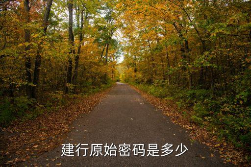 建行原始密碼是多少