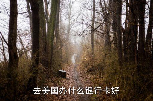 在美國(guó)用什么銀行卡，去美國(guó)辦什么銀行卡好