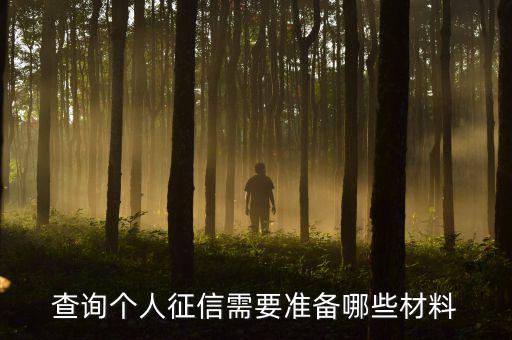 查詢個(gè)人征信需要準(zhǔn)備哪些材料