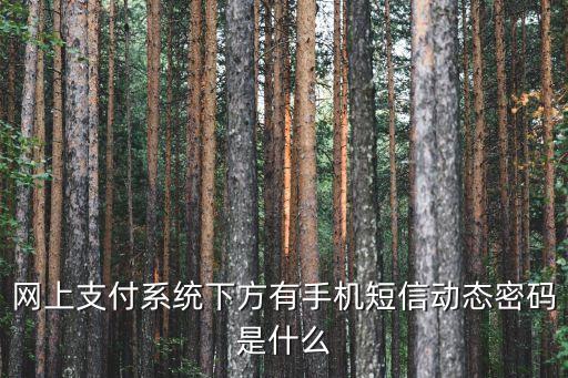 網(wǎng)上支付系統(tǒng)下方有手機短信動態(tài)密碼是什么