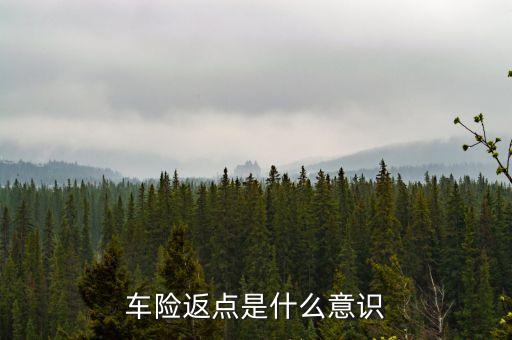 車險(xiǎn)返點(diǎn)是什么意識