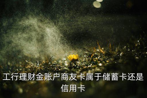 工商商友卡是什么卡，工行理財金賬戶商友卡屬于儲蓄卡還是信用卡
