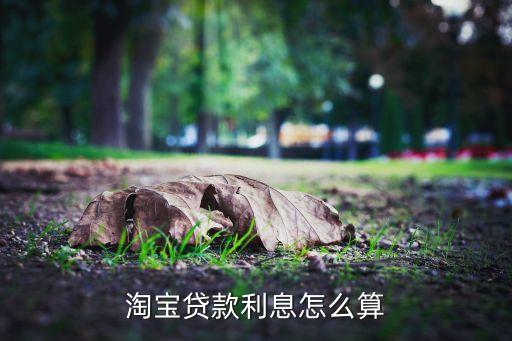 淘寶貸款日利率怎么算的，淘寶上的貸款是怎么算利息的