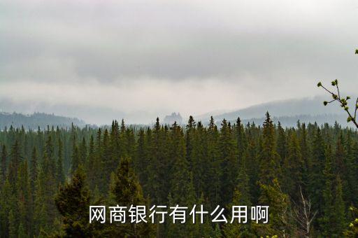 網商銀行有什么用啊