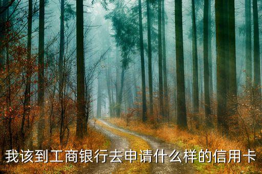 我該到工商銀行去申請(qǐng)什么樣的信用卡