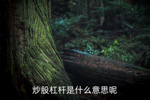 證券b 杠桿 什么意思，炒股杠桿是什么意思呢