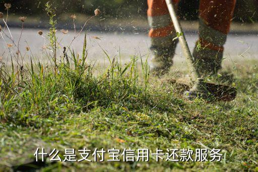 螞蟻花唄和信用卡還款是什么意思，什么是支付寶信用卡還款服務(wù)