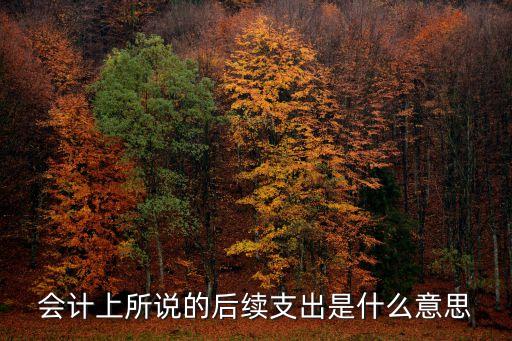 什么是后續(xù)資金，股票上說多關(guān)注后續(xù)資金是什么意思