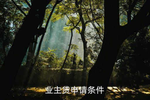業(yè)主貸申請條件