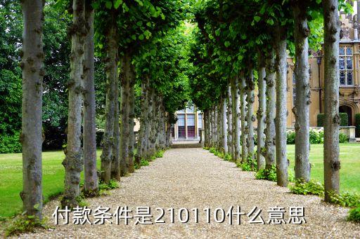 支付條件是什么意思，terms of payment是什么意思