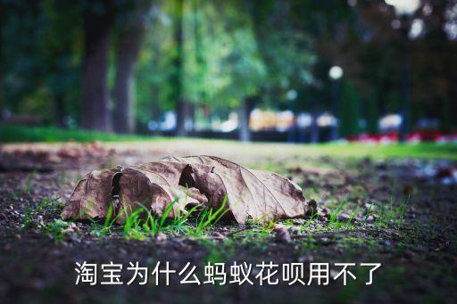 淘寶為什么螞蟻花唄用不了