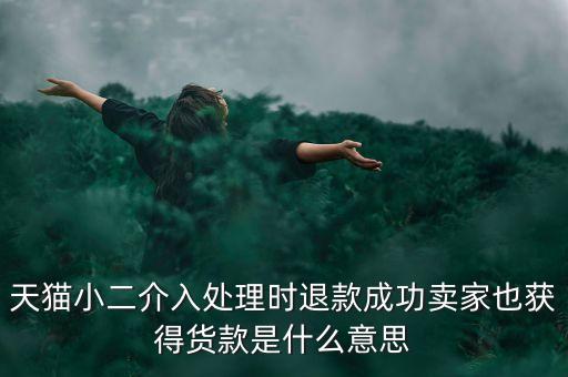 天貓小二介入處理時(shí)退款成功賣家也獲得貨款是什么意思