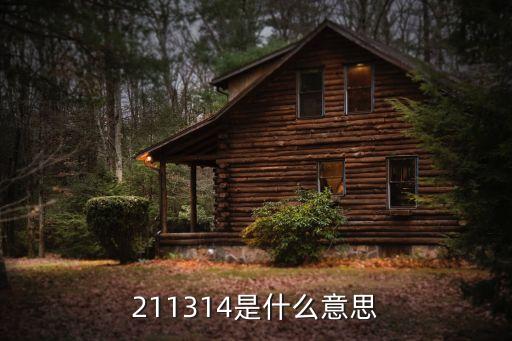 211314是什么意思