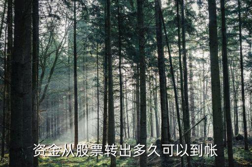 股票轉(zhuǎn)股什么時(shí)間到賬，轉(zhuǎn)股的股份什么時(shí)候到賬