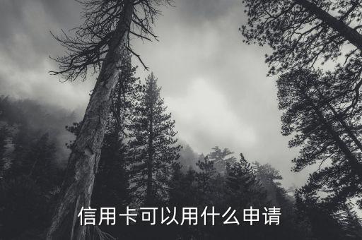 什么能辦信用卡嗎，信用卡可以用什么申請(qǐng)