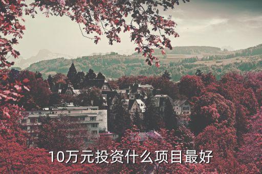 10萬(wàn)元投資什么項(xiàng)目最好