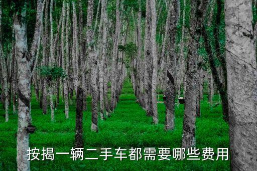 按揭一輛二手車(chē)都需要哪些費(fèi)用