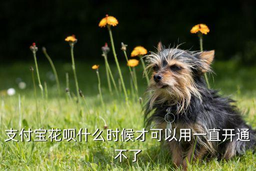 花唄可以付什么時(shí)候開始，支付寶花唄什么時(shí)候才可以用一直開通不了