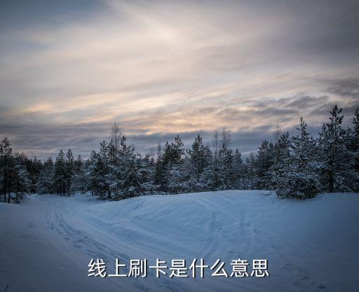 線上刷卡是什么意思，閃酷卡線上和線下支付各是什么意思啊