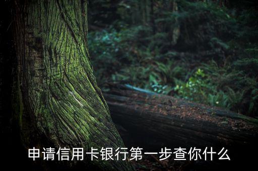 申請(qǐng)信用卡銀行第一步查你什么