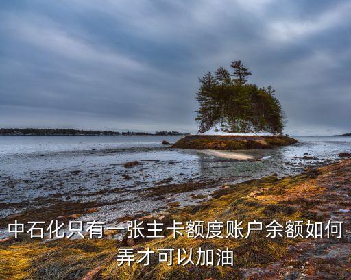 什么是加油卡卡賬余額，中石化加油卡插卡后加油機上顯示哪些數(shù)據(jù)
