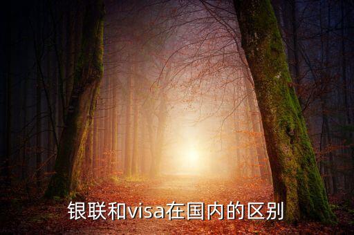 visa卡和銀聯(lián)卡有什么區(qū)別，銀聯(lián)和visa有什么區(qū)別