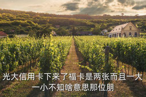 為什么光大?？ㄐ庞每?，光大銀行福信用卡有何優(yōu)點