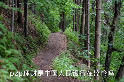 p2p理財(cái)是中國(guó)人民銀行在監(jiān)管嗎