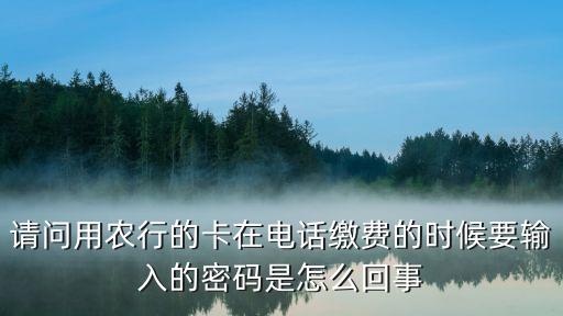 請問用農(nóng)行的卡在電話繳費的時候要輸入的密碼是怎么回事