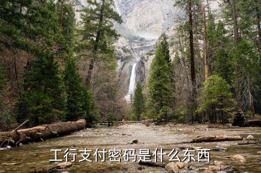 工行短信認(rèn)證支付密碼是什么，工行支付密碼是什么東西
