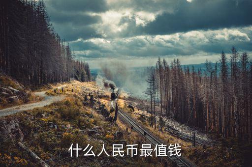 什么人民幣最值錢(qián)