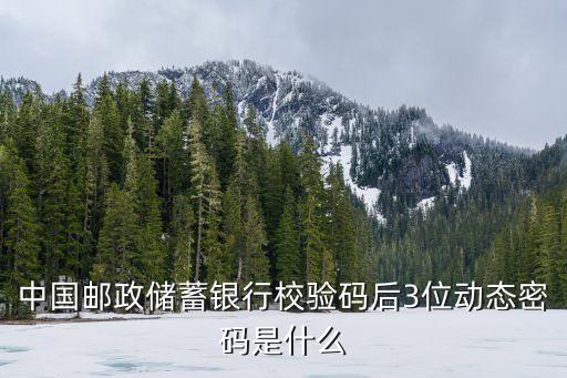中國郵政儲(chǔ)蓄銀行校驗(yàn)碼后3位動(dòng)態(tài)密碼是什么