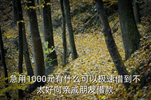急用1000元有什么可以極速借到不太好向親戚朋友借款