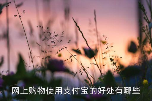 網(wǎng)上購(gòu)物使用支付寶的好處有哪些
