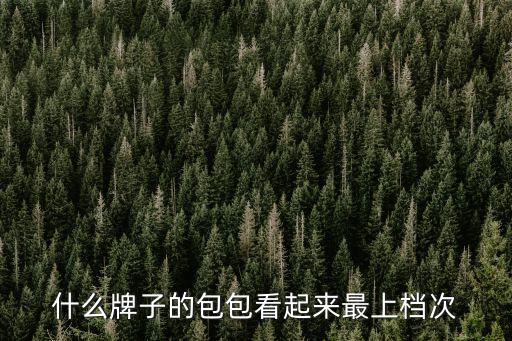 什么牌子的包包看起來最上檔次