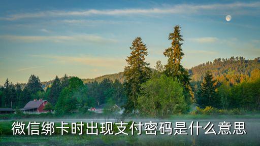 微信綁卡時出現(xiàn)支付密碼是什么意思