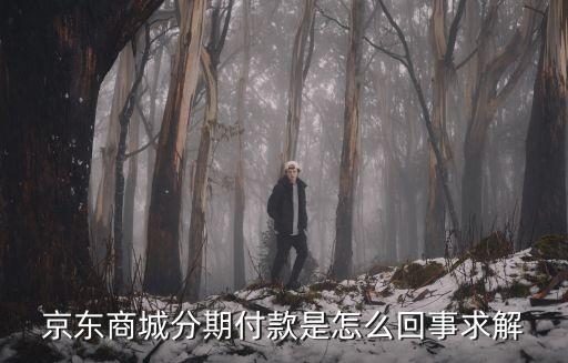 京東商城分期付款是怎么回事求解