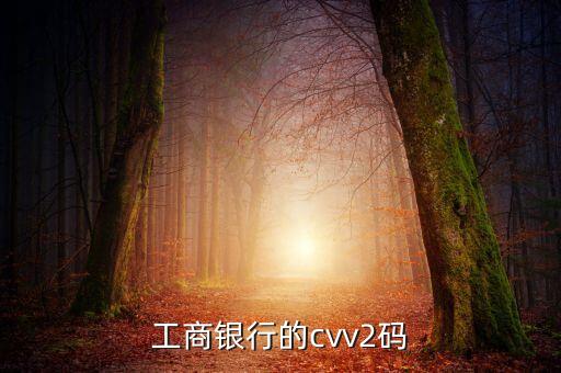 工商銀行的cvv2碼