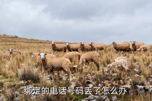 綁定的電話號(hào)碼丟了怎么辦