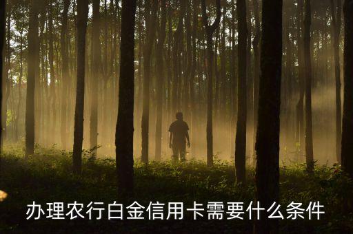 農(nóng)商白金卡要什么條件，農(nóng)行白金卡辦理條件