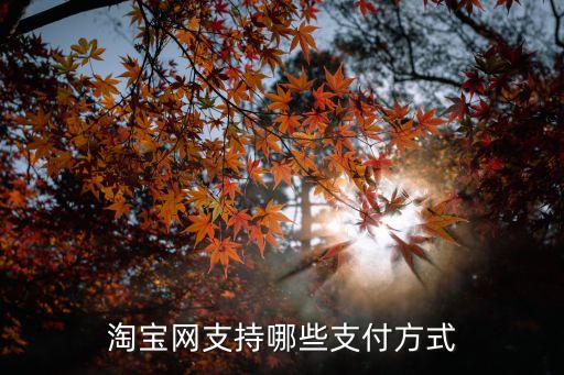 淘寶還可以用什么支付，淘寶網(wǎng)都可用什么支付