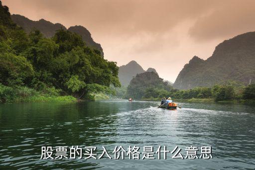 股票的買入價(jià)格是什么意思，什么是股票的買入價(jià)和買出價(jià)