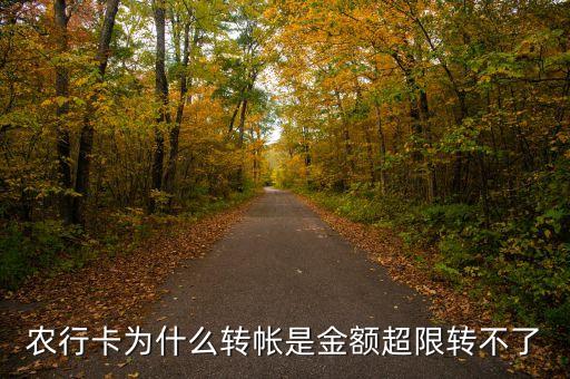 農(nóng)行卡為什么轉(zhuǎn)帳是金額超限轉(zhuǎn)不了