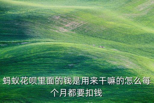 螞蟻花唄里面的錢是用來干嘛的怎么每個月都要扣錢