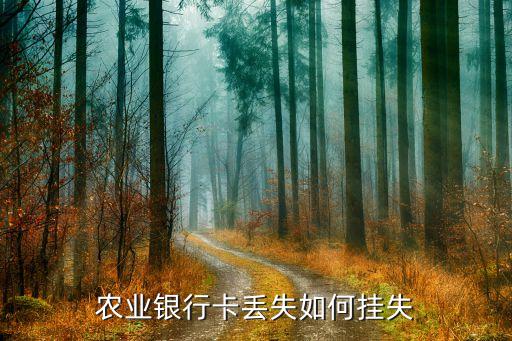 農(nóng)行口頭怎么口頭掛失，農(nóng)行口頭掛失流程