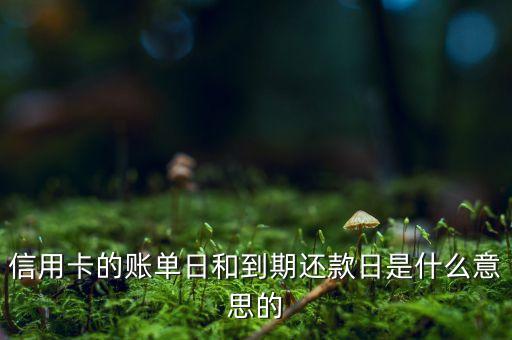 信用卡的賬單日和到期還款日是什么意思的