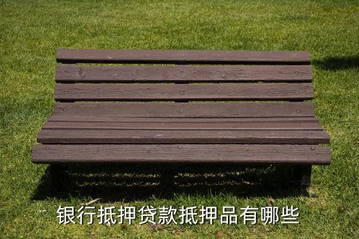 貸款可以用什么做抵押貸款，現(xiàn)在的貸款都能拿什么做抵押